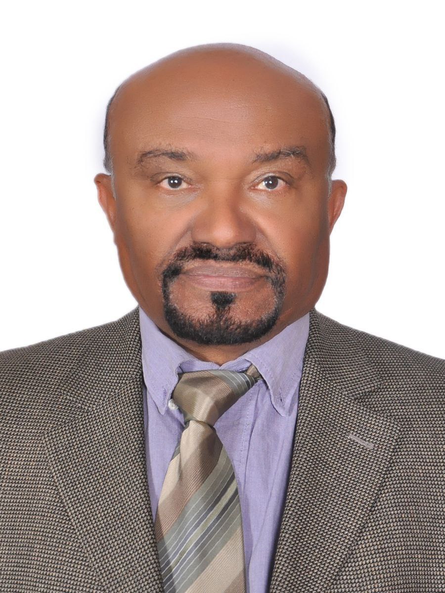 Daniel Mekonnin